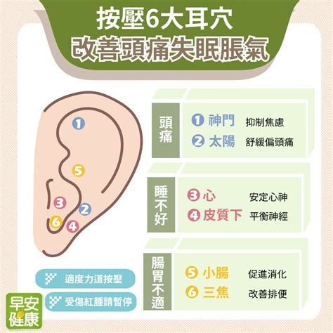 耳穴貼是什麼|耳朵有解痛神奇穴位！按壓6大「耳穴」頭痛、失眠、。